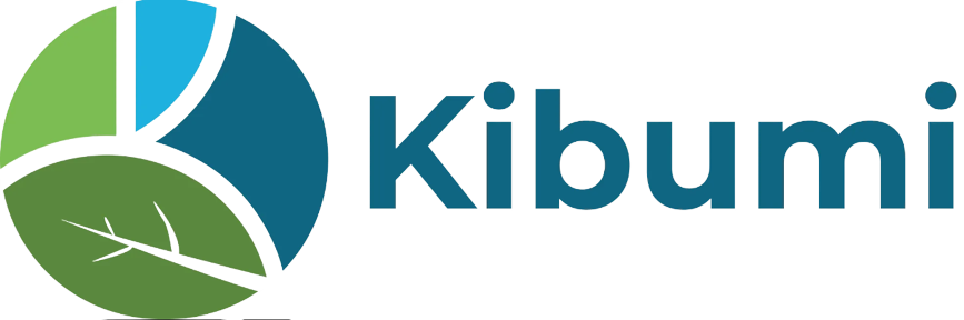Kibumi logo